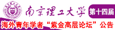 狂日骚黑逼南京理工大学第十四届海外青年学者紫金论坛诚邀海内外英才！